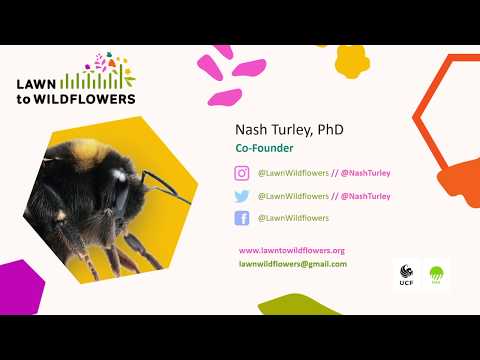 Video: Skapa pollinatorvänliga gräsmattor - Välja gräsmattaväxter för pollinatorer