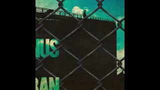 Vis a vis song (Agnus Dei) Urban version