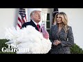 'Will you pardon yourself?': Trump ignores questions after pardoning turkey