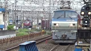 【貨物】EF66-129 コンテナ輸送