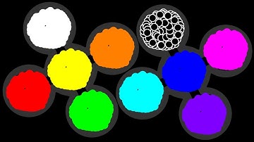 The Team Eliminations Marble Race ASRM #252 in Algodoo