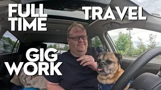 Stealth camping across America living in my small car with my dog