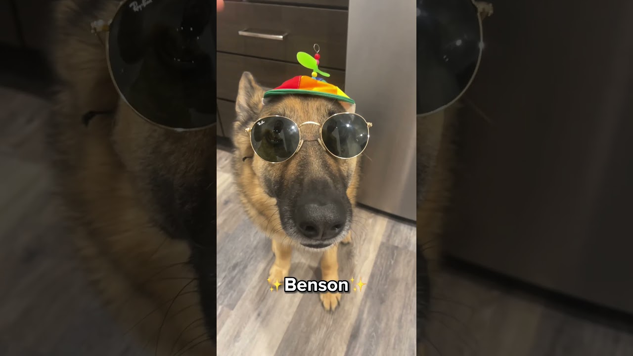 Hi! 👋🏻 I’m Benson!