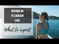 Scuba Diving in Fujairah, UAE/ All you need to know!/Дайвинг в Фуджейре, ОАЭ/ Все что нужно знать!