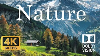 Mother Nature's Hidden Gems A Stunning 4K Exploration