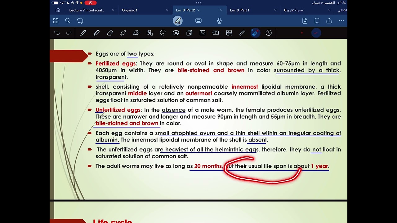 Microbiology ll   lec 8  part 2