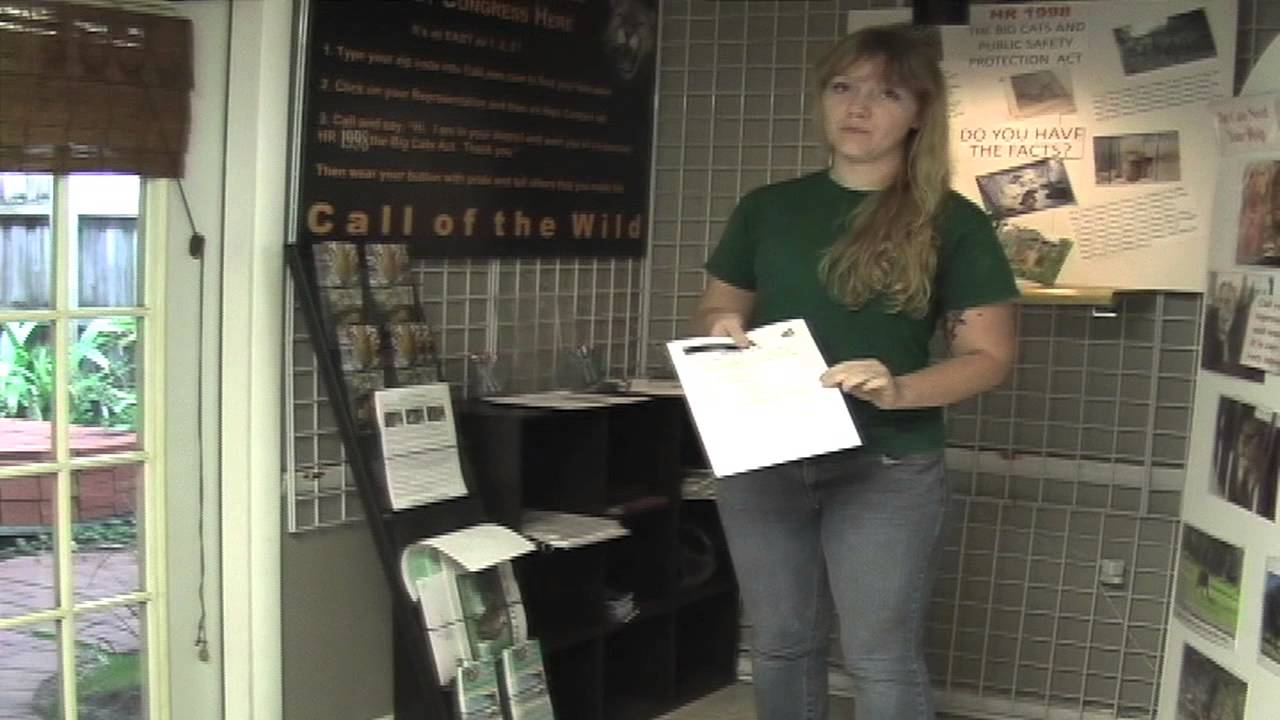 leopard print Call Of The Wild Tutorial