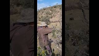EL LANCE QUE TODOS SOÑAMOS EN UNA MONTERÍA! 🐗😳 #jabalí #monteria #shoot #wildboar