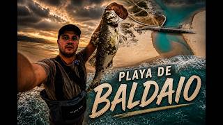 LUBINAS a SPINNING en PLAYA ( GALICIA )