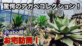 お宅訪問】Instagramでも有名なあの趣味家の家を訪問しました！ - YouTube
