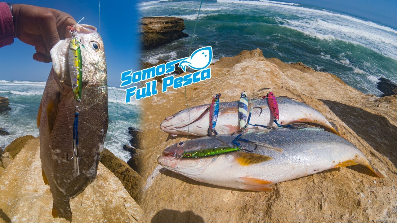 EL JIG QUE ENLOQUECE AL PEZ - PESCA DE CORVINA CON JIGS