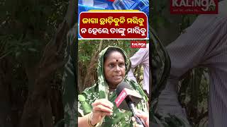 ଜାଗା ଛାଡ଼ିବୁନି ମରିବୁ ନ ହେଲେ ତାଙ୍କୁ ମାରିବୁ || Kalinga TV