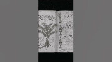 The Voynich Manuscript: Decoding History