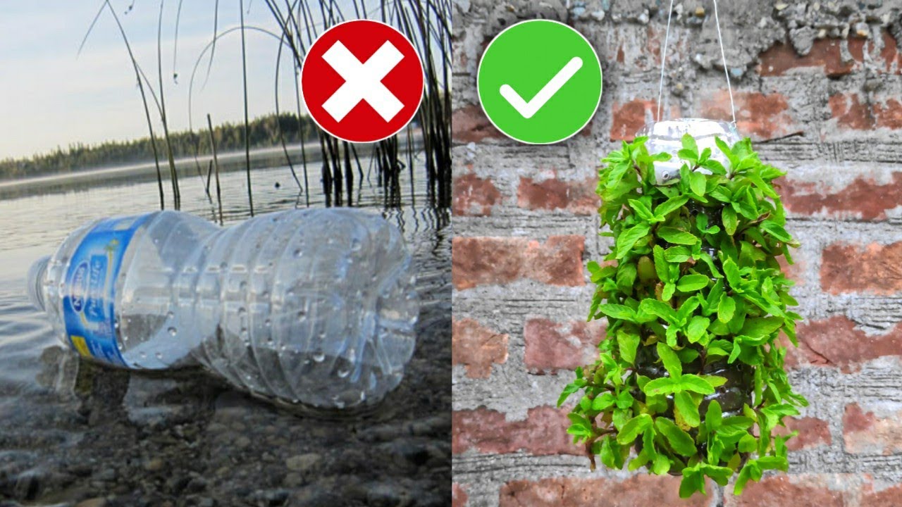 How To Grow Pudina/Mint In Waste Plastic Bottle Easy Pudina Plant In