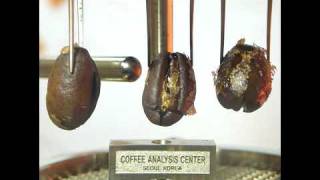 Coffee roasting technique by COFFEE ANALYSIS CENTER in korea