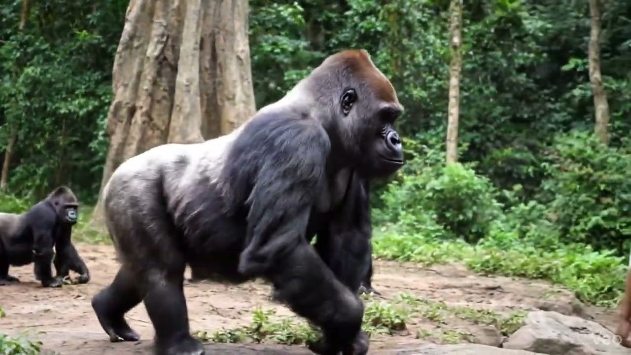 Smiles sweeter than bananas 🍌😊 