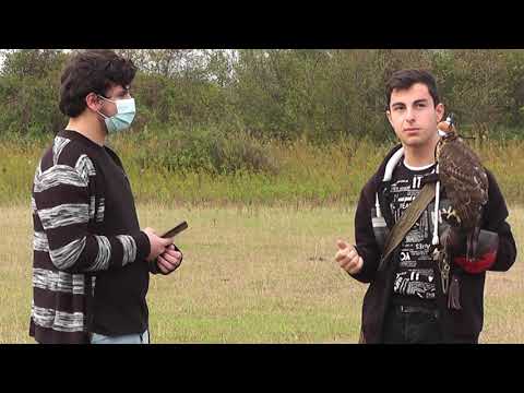 ახალგაზრდა ბაზიერებისთვის ფოთში ტრენინგი ჩატარდა 11 11 20