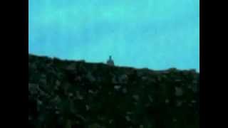 Dolly Parton - Stairway To Heaven