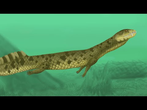 Vancleavea: An Odd Aquatic Reptile From The Triassic Period