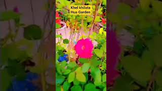 BEautiful garden #viral #nature #lifeisbutadream #garden #love #plantsman #plantlife # #plantparent