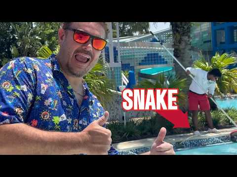 Snake in the Pool at this Disney Resort - Birthday Vlog