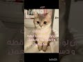 انا مش مصدقه
