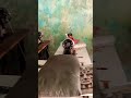 Hurda ka video rahendra ke sapoot krba