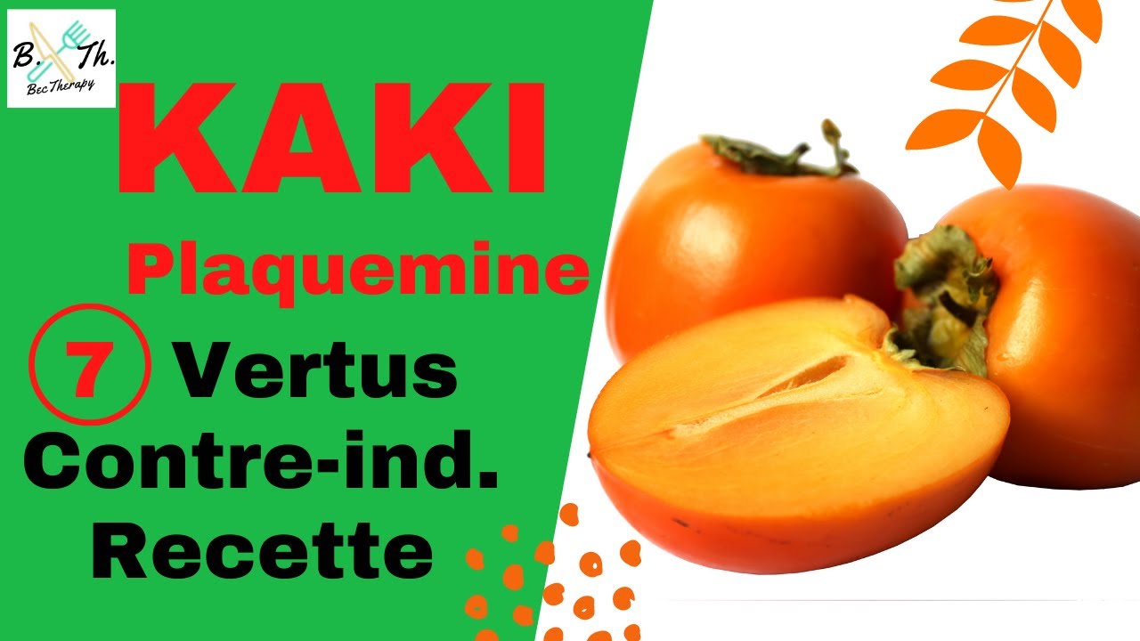 FRUIT KAKI : Vertus, bienfaits et contre-indications de la plaquemine II BecTherapy