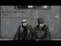 SECRET RHYTHM / TMN | 90&rsquo;s The Chemical Brothers Style AI Cover