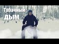 Простой способ защиты от медведя