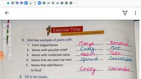 Class 3 EVS | Chapter 6 : leaves in our lives