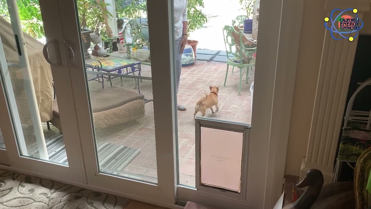 In Glass Pet Doors - California Energy Contractors, image size:1280x720