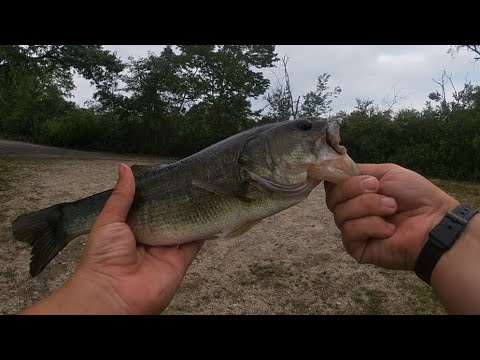 Big Bass Catch & Cook!