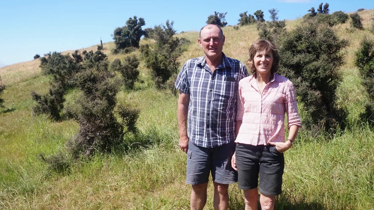 Canterbury: Kaiora Downs beef stroganoff