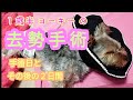 悩んだ結果…☆やっぱり去勢手術！！