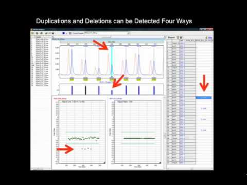 MLPA Analysis with GeneMarker® Software Part 2 - YouTube