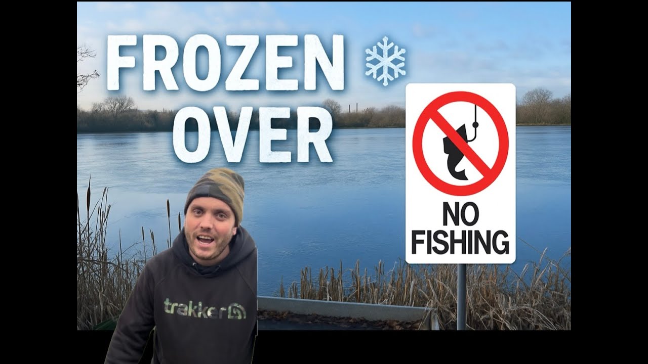 A FROZEN CARP LAKE IN SUFFOLK