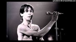 Iggy Pop - dog food