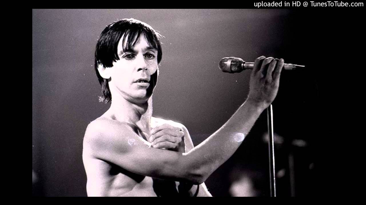 Iggy Pop dog food YouTube