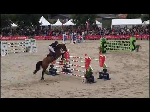 ARTISTE DE L'ABBAYE (Quaprice x Jus de Pomme) 5°GP150 Montfort sur Meu 2019