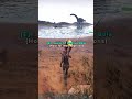 When your bois leave you behind..... - #ark