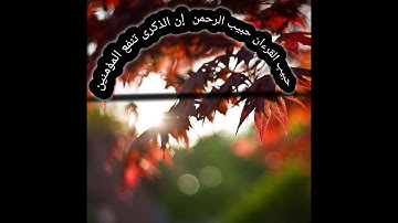 الربع الثانى من سورة البقرة بصوت الشيخ أسامه