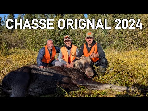 Moose Hunting 2024 Abitibi Zone 16 Outdoor Adventures
