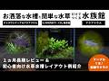 【レビュー&レイアウト】アクアリウム初心者におすすめ！最新インテリア水槽の長期レビュー＆初心者向け水草水槽立ち上げ【テトラ ワンケーブルアクアリウム】