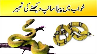 khwab mein saanp dekhna || khwab mein saanp dekhne ki tabeer || khwab mein yellow saanp dekhna