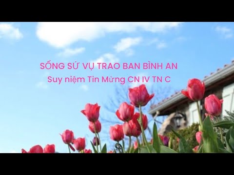 🌻 SỐNG SỨ VỤ ✝️ TRAO BAN BÌNH AN 🌸|| Chúa Nhật XIV Mùa Thường niên Năm C