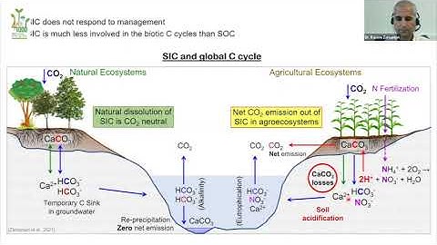 "4 PER 1000" SOIL CARBON SCIENCE WEBINAR SERIES #2: The Often Unaccounted Yet Irrecoverable Carbon