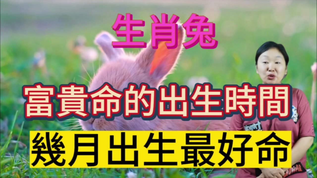 屬兔人幾月出生最好命？風水大師蘇民峰揭秘：屬兔人出生月份與命運的神秘關係!【佛語】
