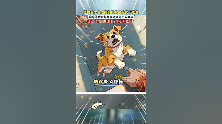 狗狗：“主人等我，坚持住，我马上就来救你了”。#画一个故事 #狗狗的心思都写在脸上了 #治愈系  #万物皆有灵性 #抖音插画大赛