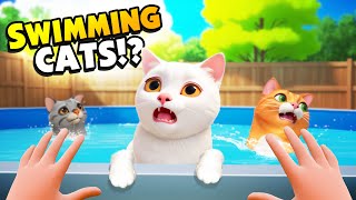 猫に泳ぎを教えたのは大きな間違いでした！ screenshot 4